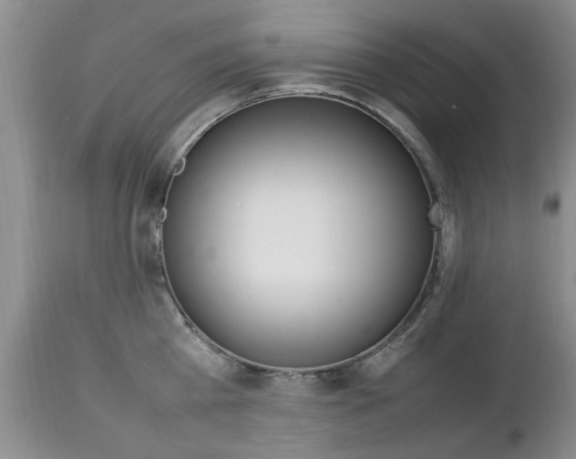 X0000112790809200908210936