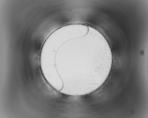 X0000112790810200908210936