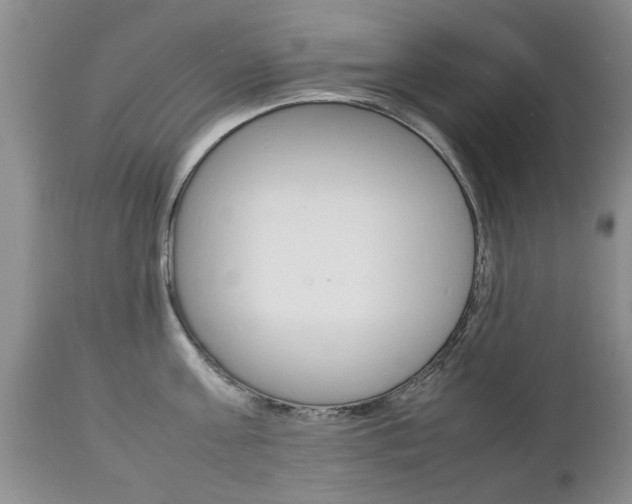 X0000112790811200908210936
