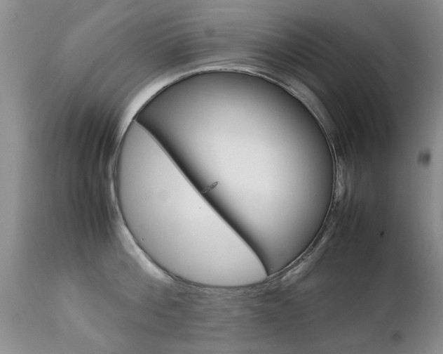 X0000112790812200908210936