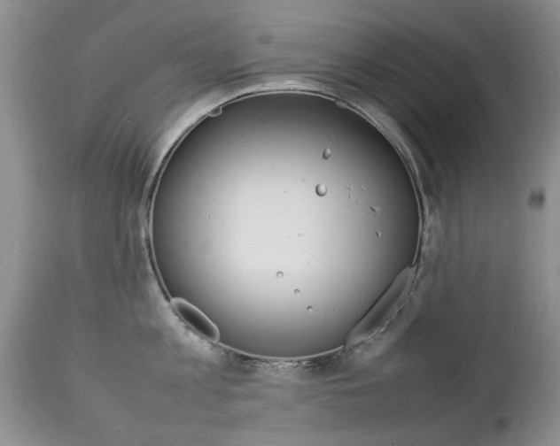 X0000112790813200908210936