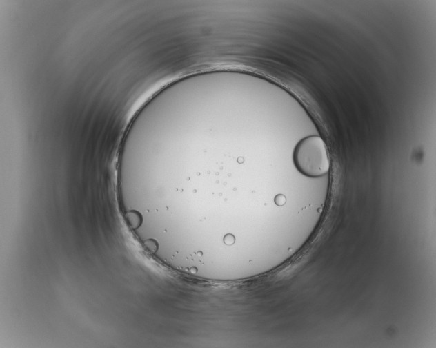 X0000112790814200908210936