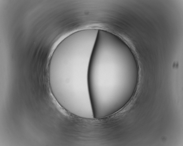 X0000112790816200908210936