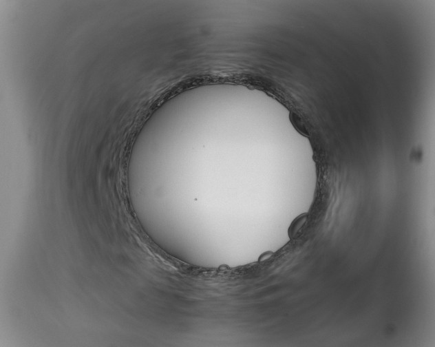 X0000112790817200908210936