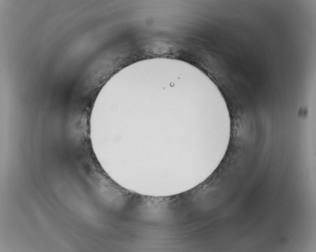 X0000112790820200908210936