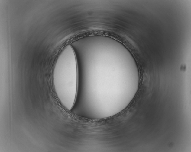 X0000112790821200908210936