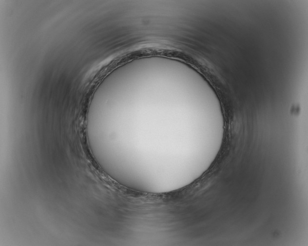 X0000112790822200908210936