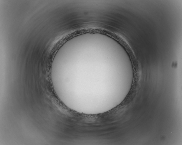 X0000112790823200908210936