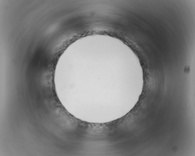 X0000112790824200908210936