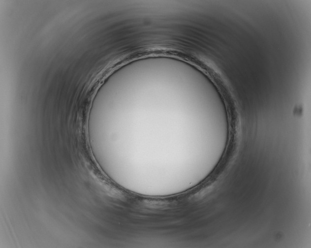 X0000112790825200908210936