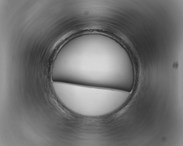 X0000112790826200908210936