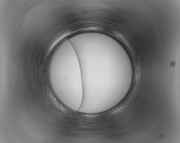 X0000112790827200908210936