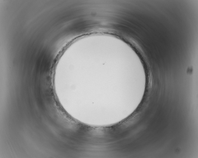 X0000112790828200908210936