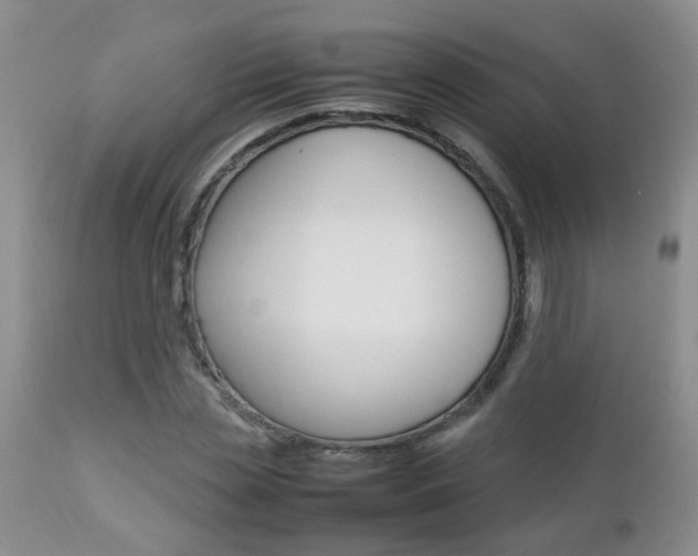 X0000112790829200908210936