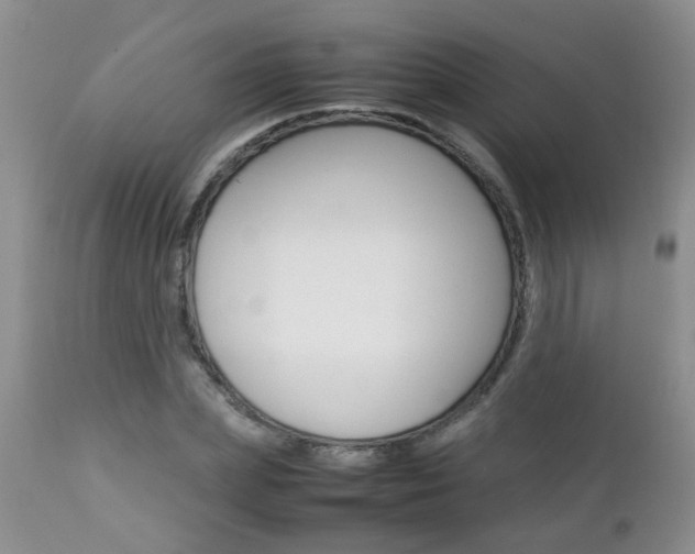 X0000112790831200908210936