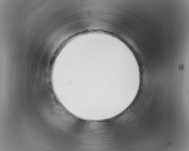 X0000112790832200908210936