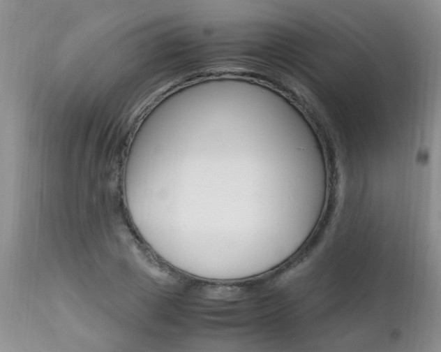 X0000112790833200908210936