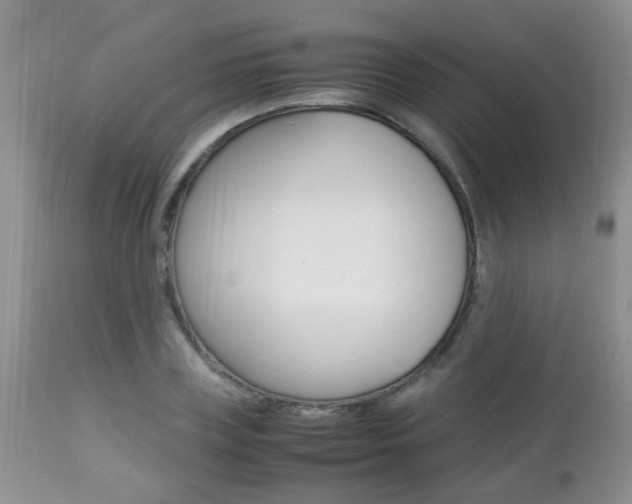 X0000112790835200908210936