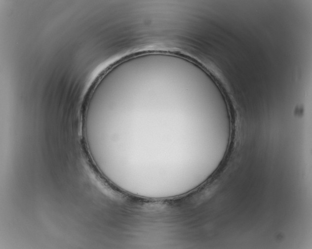 X0000112790838200908210936