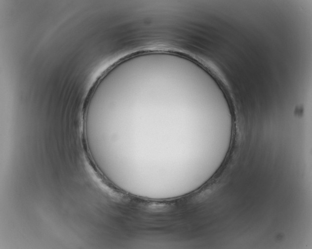 X0000112790839200908210936