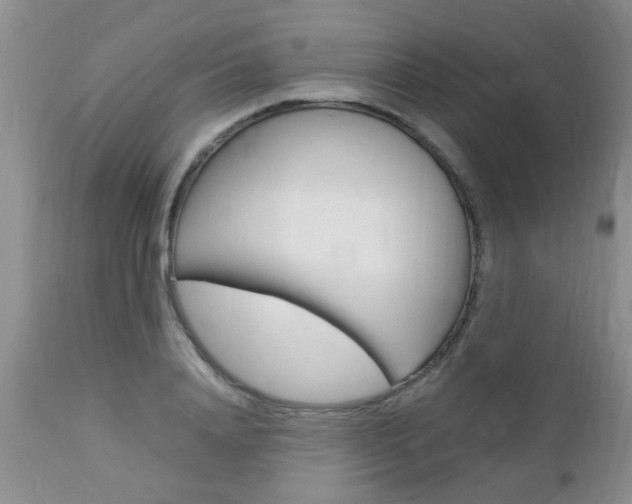 X0000112790840200908210936