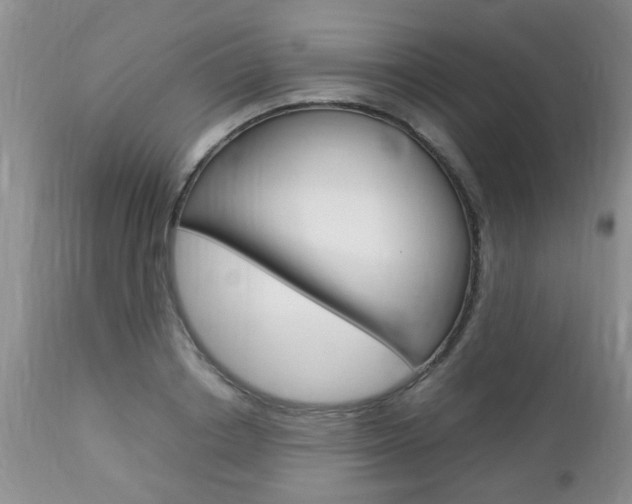X0000112790842200908210936