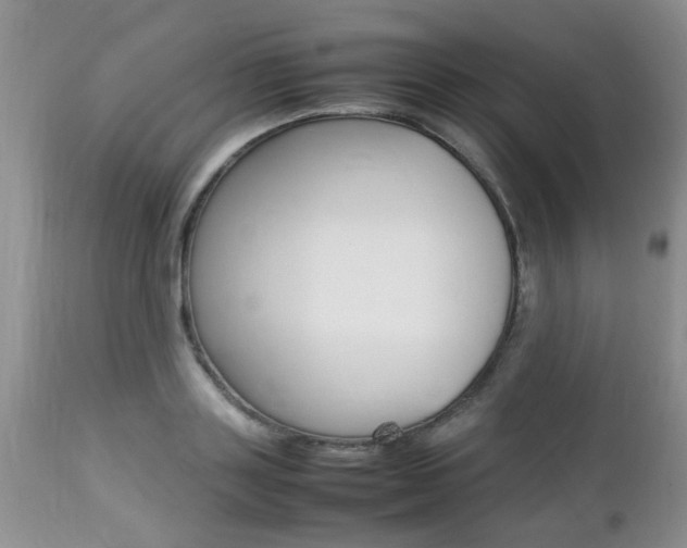 X0000112790843200908210936