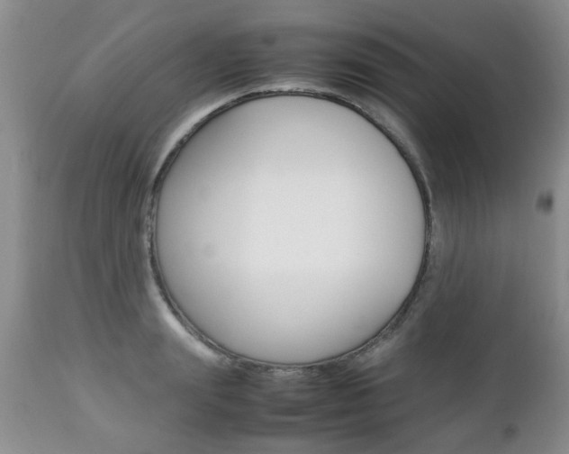 X0000112790847200908210936
