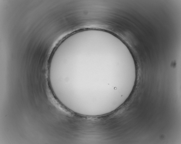 X0000112790848200908210936