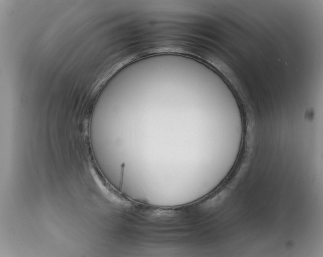 X0000112790849200908210936