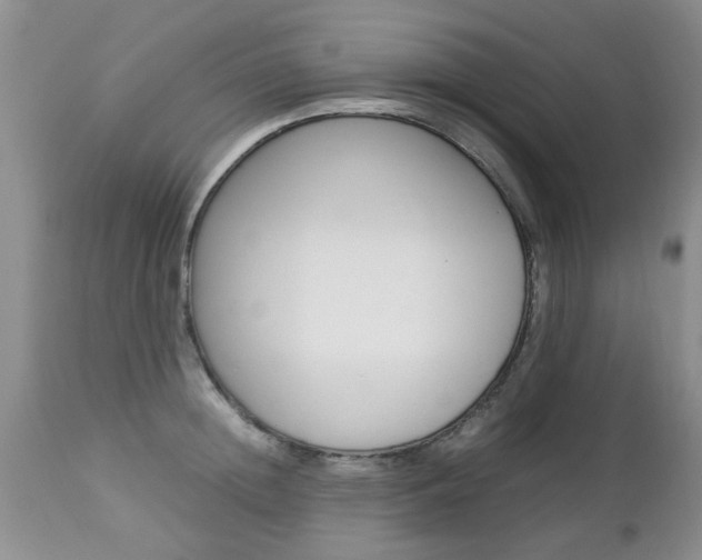 X0000112790852200908210936
