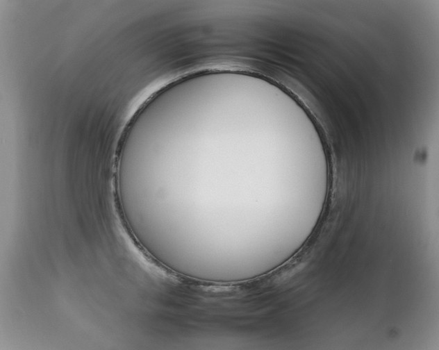X0000112790853200908210936
