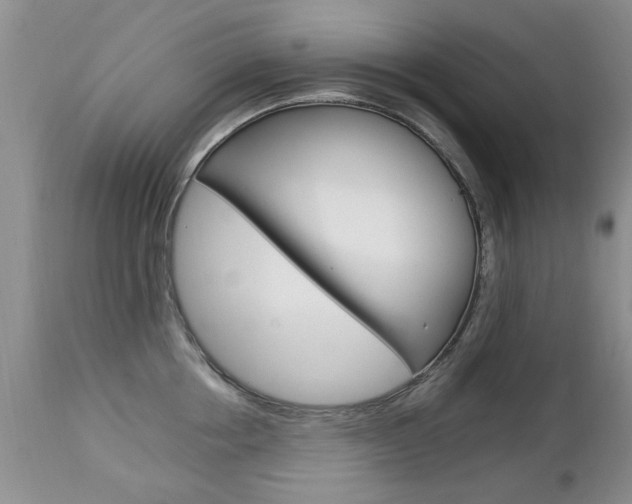 X0000112790858200908210936
