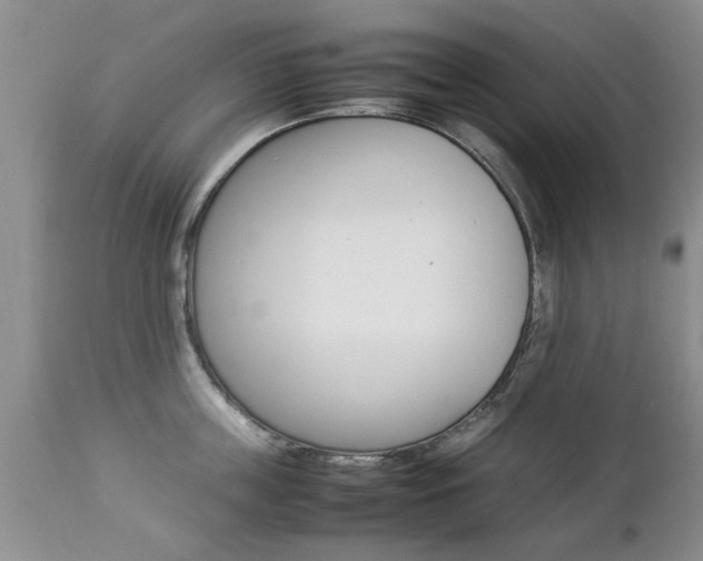 X0000112790859200908210936
