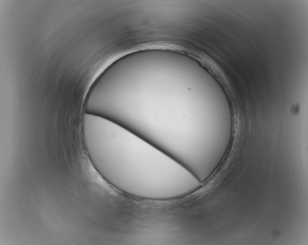 X0000112790860200908210936