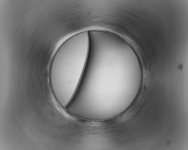 X0000112790862200908210936