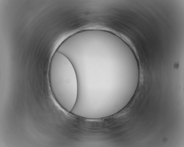 X0000112790863200908210936