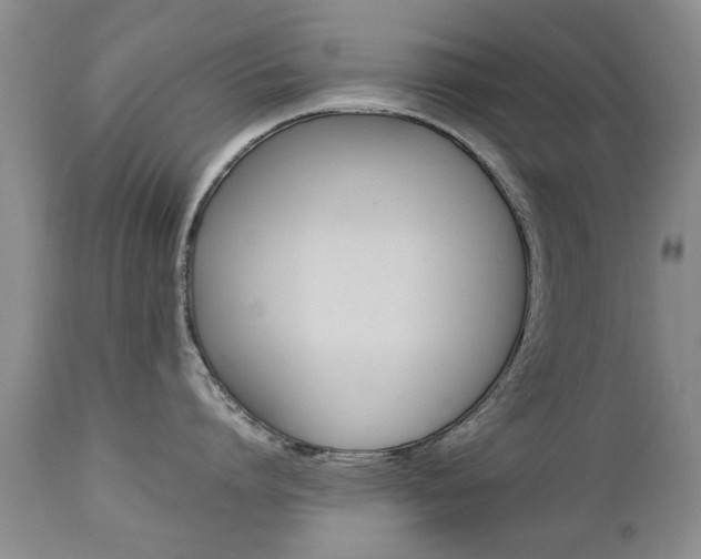 X0000112790864200908210936