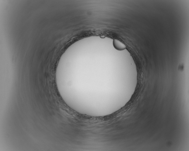 X0000112790865200908210936