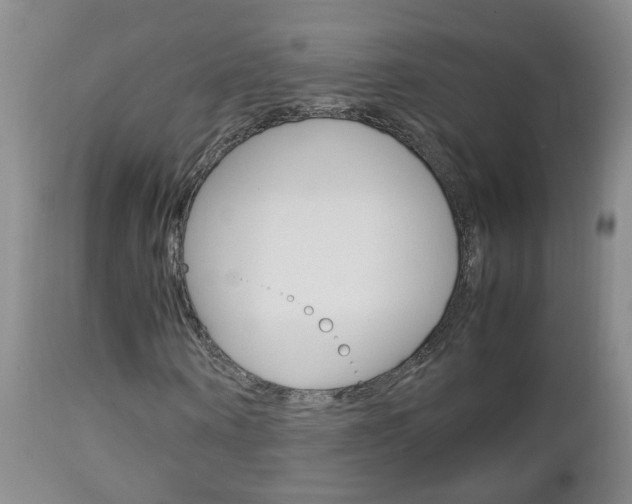 X0000112790866200908210936