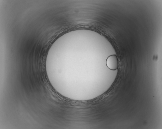 X0000112790868200908210936