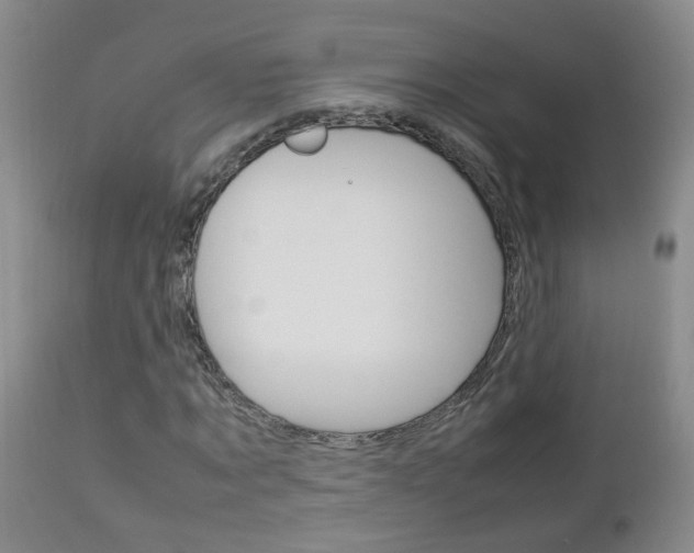 X0000112790869200908210936