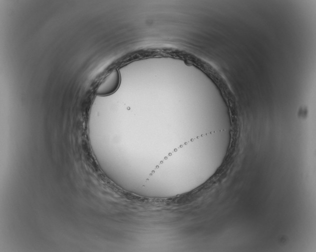 X0000112790871200908210936