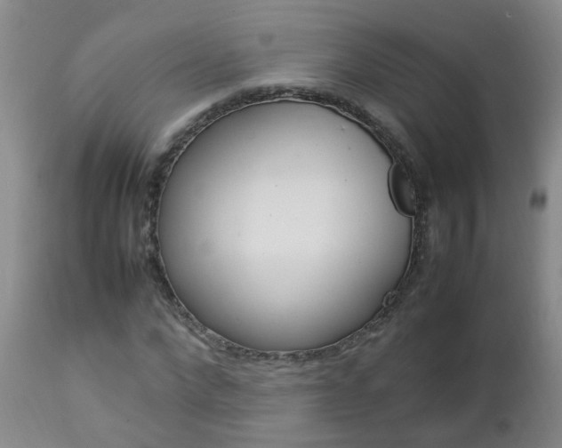 X0000112790872200908210936