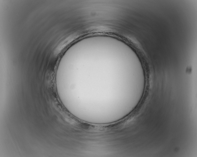 X0000112790873200908210936