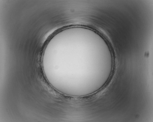 X0000112790875200908210936