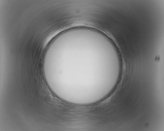 X0000112790877200908210936