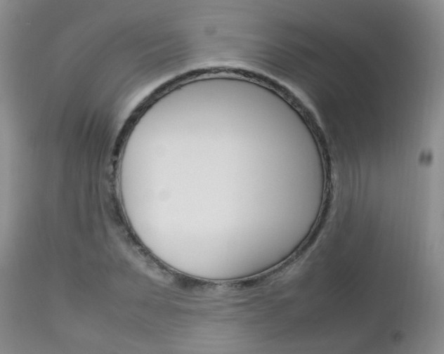 X0000112790879200908210935