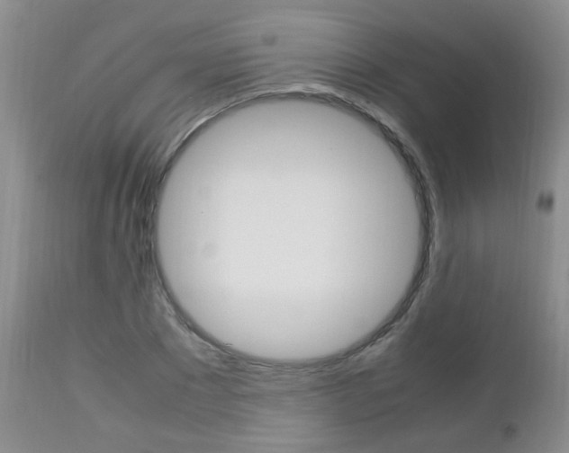 X0000112790881200908210935