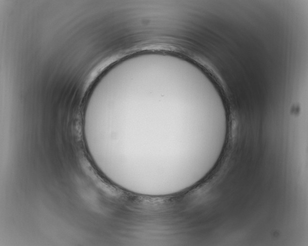 X0000112790882200908210935